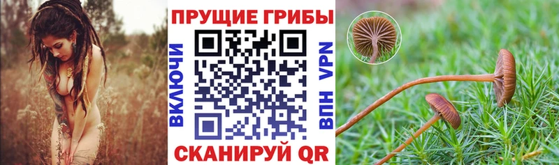 Псилоцибиновые грибы Psilocybine cubensis  МЕГА зеркало  Алагир 
